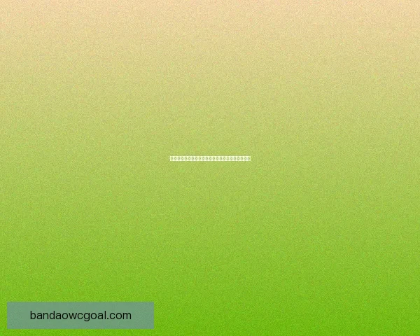 世界杯竞猜胜负策略解析与实用技巧全面提升中奖率