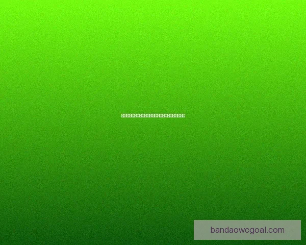 世界杯竞猜赔率分析：深度解读热门球队胜算与投注策略