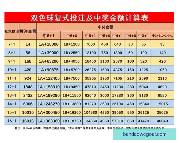 体育竞猜投注新手指南：如何提高投注技巧和预测准确性